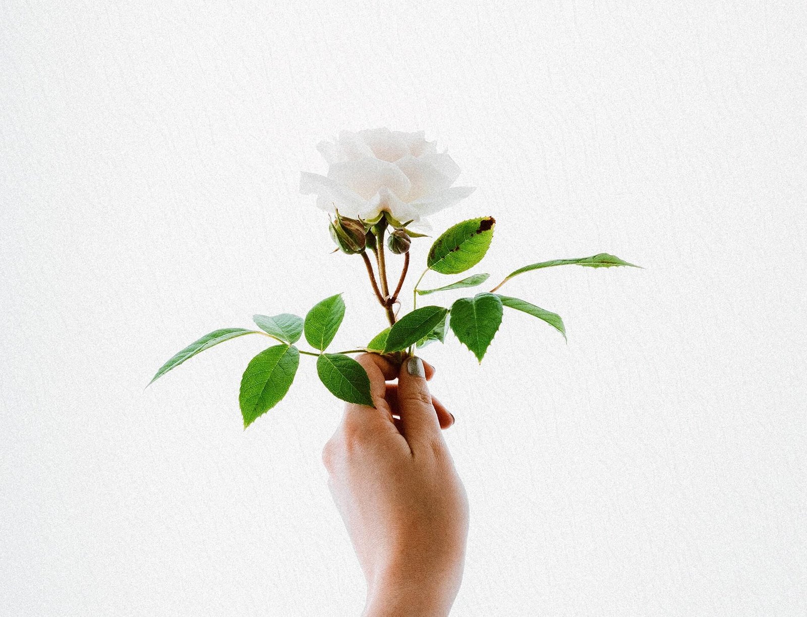 Interior and Exterior Design Trends. Room Tours 2 post2 copyright