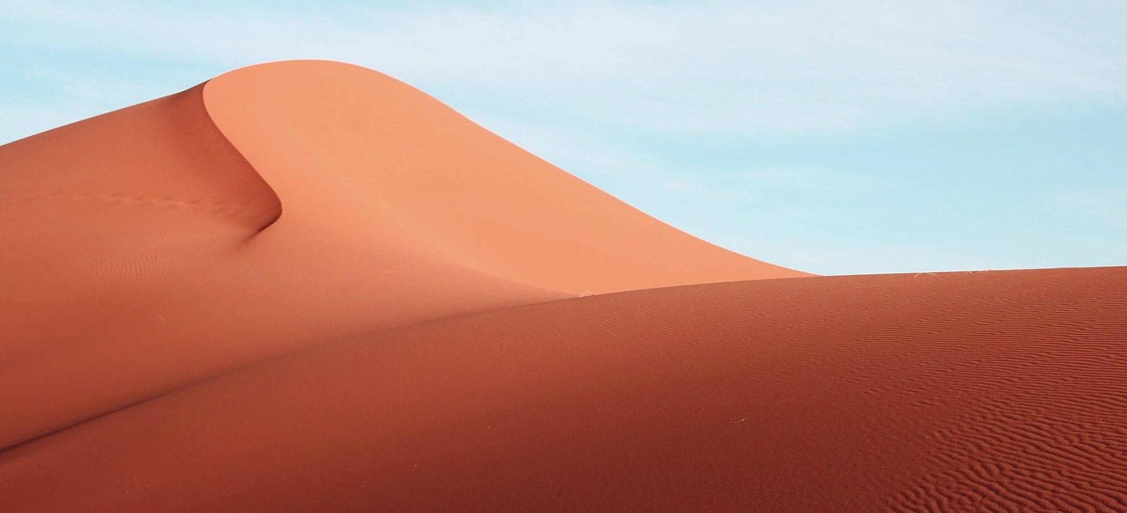 How to Survive If All Your Family Members Got Infected 4 post3 copyright