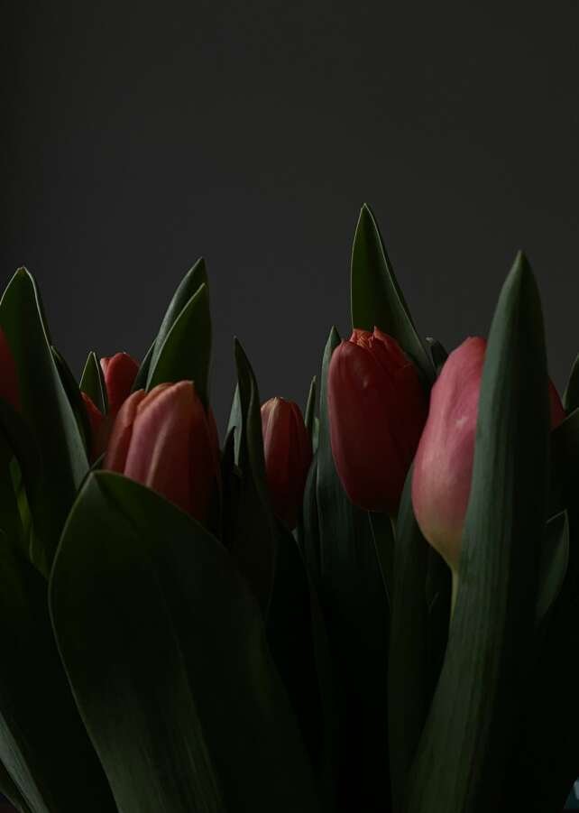 The Beauty of Spring Was Darkened by War: European News, March 2022 5 post5 copyright